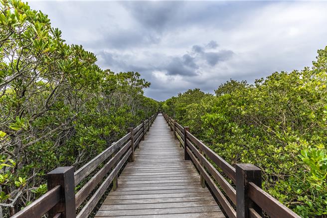 新豐紅樹林木棧道和景觀涼亭整修工程纏訟4年，木棧道盡頭的景觀涼亭拆除成斷點，迄今仍未能復舊。（羅浚濱攝）