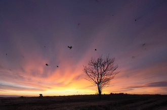 國戰會論壇》全球資訊戰的陰影：恐慌如何成為操控工具（蔡鎤銘）