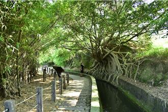 乌日知高圳步道今起封闭修缮 争取明年春节前开放