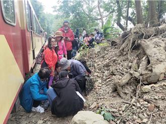 遊客闖阿里山軌道遭撞 旅行社致歉 林鐵、文資處：沒接到訊息