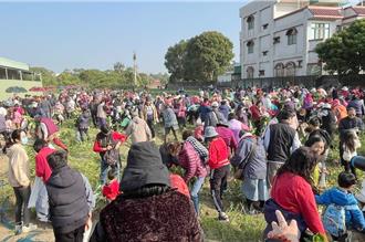 蘿蔔免費拔20分鐘就清空 嘉義民雄花海節湧入逾千人