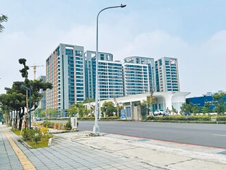 AMD插旗 台南沙崙坪價喊到50萬