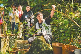 Kinga tazing田原 部落繁榮的旗手