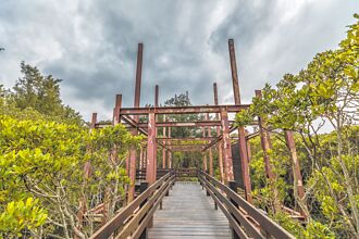 新豐紅樹林涼亭 成爛尾樓