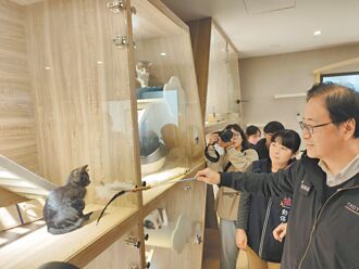 桃園南昌動保園區揭牌 供認養、諮詢