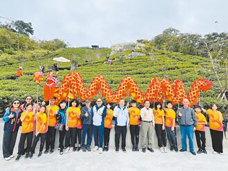 七星茶香步道 南投觀光新亮點
