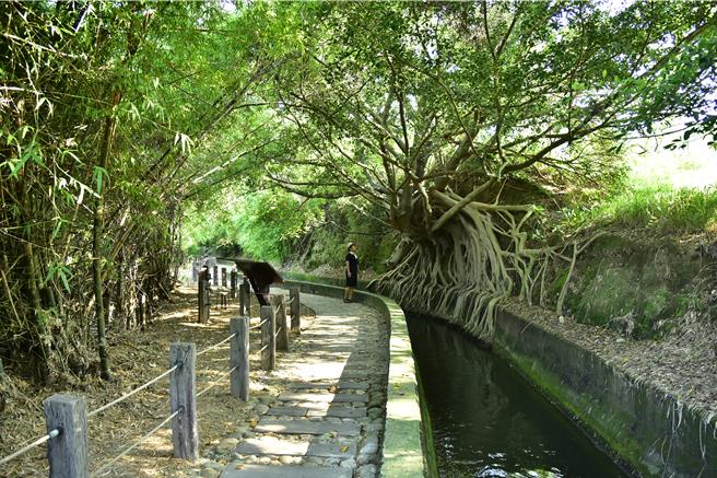 台中市位于乌日与大肚区交界的知高圳步道平坦好走，广受民眾喜爱，步道部分跨桥桥面老化、桥台开裂，自15日起封闭修缮，预计明年1月15日重新开放。（中市观旅局提供／潘虹恩台中传真）