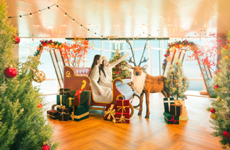 室內室外都好玩！2024全台九大耶誕跨年必訪景點　妝點倒數璀璨時刻