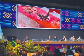 青鳥出征中國新年 改Lunar 錯了！蔡正元打臉：不是陰曆