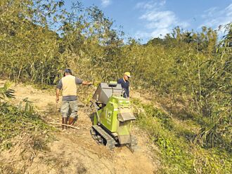 新北推循環農業 老廢竹再利用