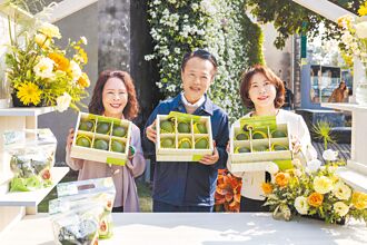 嘉縣 試種12年 哈斯酪梨香甜搶市