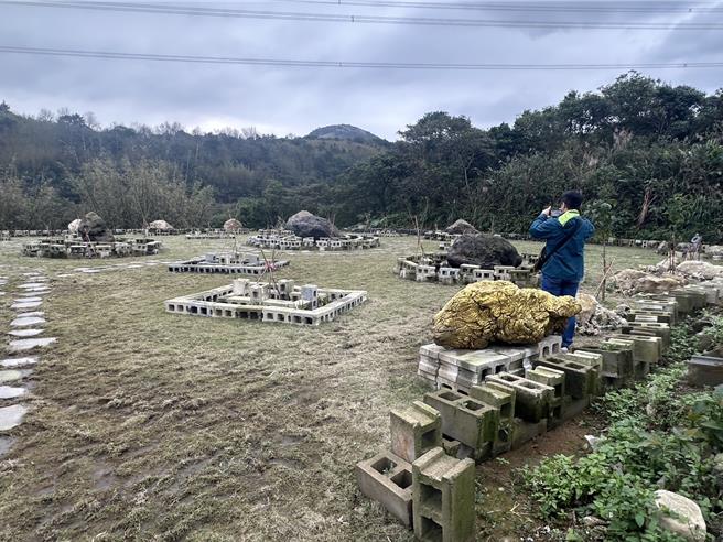 萬里區驚傳神秘宗教活動，農地被發現擺放動物雕塑、大型巨石及空心水泥磚。（萬里區公所提供）