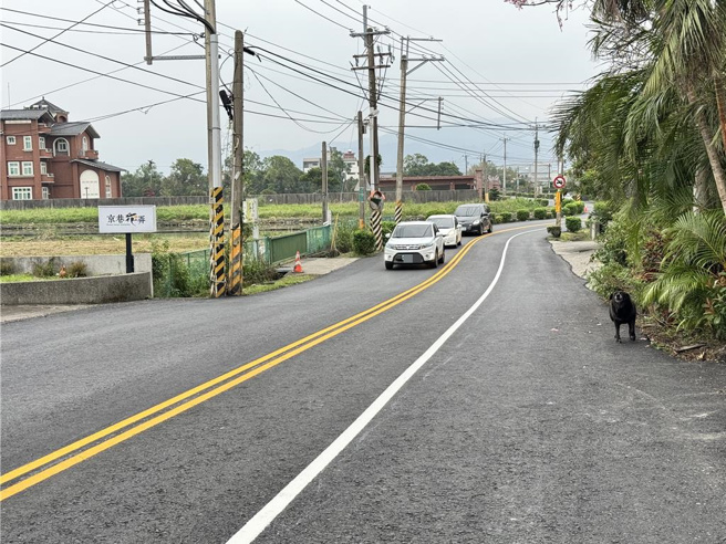 有民眾发现宜山乡柯林路上的汽机车道异常狭窄，不禁PO网问「这线画的正常吗？第一次开这么窄的」。（吴佩蓉摄）