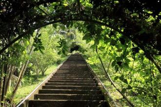 冬日暖陽戶外踏青 去台南登山吃美食、賞美景