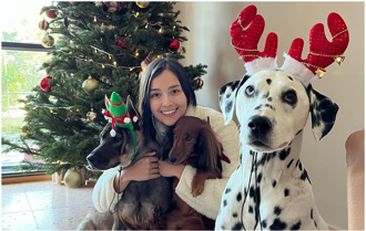 帶3愛犬散步「2條遭毒殺」 女星痛批：對人性失去信心