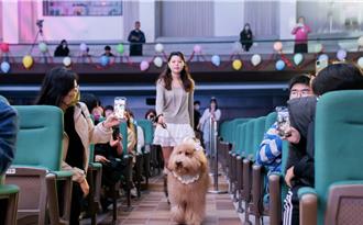 明新科大人文與設計學院成果展 學生直播秀展學習成果