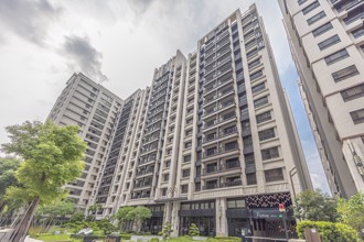 南高雄老灰仔比北高雄還多？專家曝原因