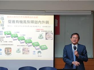 台東推廣鳳梨釋迦有機種植 建立產業鏈擴展外銷