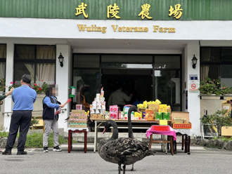 武陵农场女主任拍桌谩骂遭控职场霸凌 4个月已4人离职