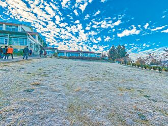 武陵、福壽山結霜 遊客讚如仙境