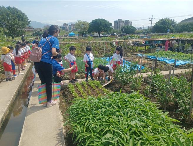 小朋友从中观察到植物及耕田的乐趣。（高滩处提供）