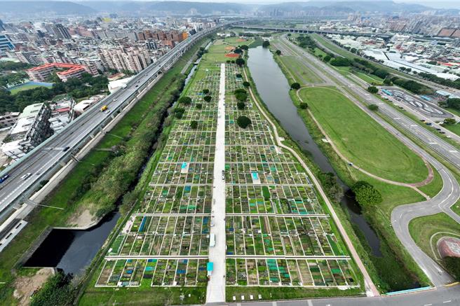 乐活农园位于二重疏洪道内，提供市民朋友体验农作乐趣。（高滩处提供）