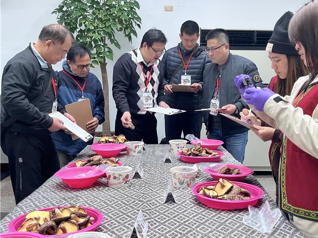 邀请专门委员针对参赛香菇身家进行各项评鑑，评鑑项目包含直径大小与开度、重量、外观、香菇弹性与香气。（林业及自然保育署宜兰分署提供／吴佩蓉宜兰传真）