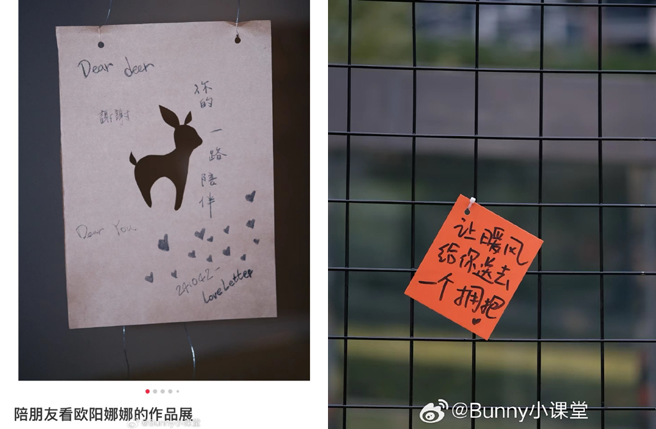 欧阳娜娜作品和手写字迹曝光。（图／翻摄自小红书）