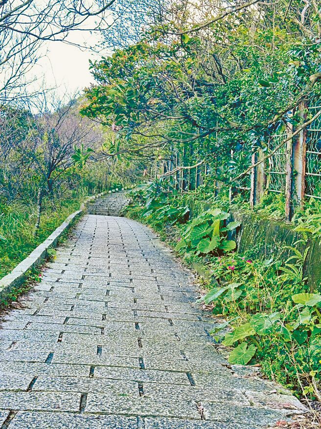 新北市瑞芳區地質公園步道因神祕的外星石頭陣與黃金神社遺址成熱門打卡景點，目前因缺乏管理樹木叢生，不少山友反映後卻發現沒有機關願意出面處理。（民眾提供／柯毓庭新北傳真）