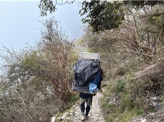 玉山群峰浪犬現蹤 背工負重40公斤扛下山