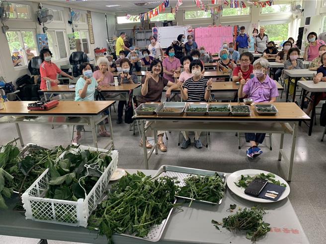 「綠光尋夢園場」所採收的野菜，除提供社區據點1周5天供餐使用，也會分享給社區居民，目前志工增加到60位，大家都覺得種菜很開心、很好玩。（興安社區發展協會提供／張妍溱台中傳真）