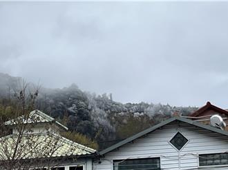 寒流襲台！新光部落山頭凝霜 白皚皚一片好驚喜