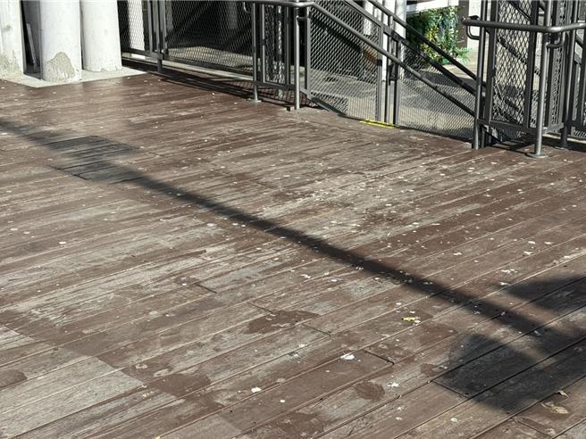 位于基隆市的基隆城际转运站顶部有相当多的木制及钢构梁柱，非常适合鸟类栖息，民眾经过都要担心被鸟粪砸中。（徐佑升摄）