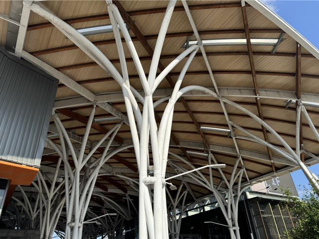 位于基隆市的基隆城际转运站顶部有相当多的木制及钢构梁柱，非常适合鸟类栖息，民眾经过都要担心被鸟粪砸中。（徐佑升摄）