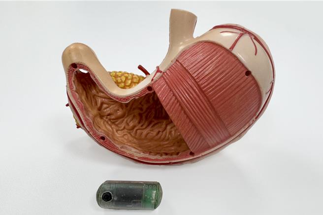 工研院结合凌通科技微控制器（MCU）晶片，共同打造医疗照护的「无线感测口服胶囊」，可因应不同场域与情境需求，实现多种感测应用。（工研院提供／邱立雅竹县传真）