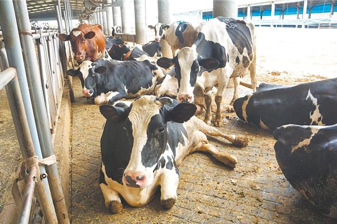 农业部推出「班班喝鲜奶」仅3个月就喊卡，产业界也措手不及。(本报资料照片)