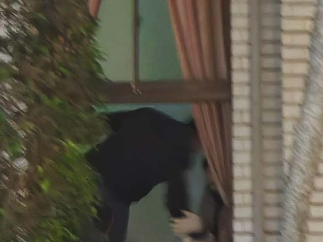 民进党立委锺佳滨等人打破立院门窗进入议场，与国民党立委们爆发衝突。（图 / 取自洪孟楷脸书）