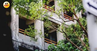 恐怖校園！沒跟校長打招呼遭罵「長這樣」 代理老師悲慘故事曝光