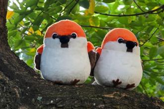 保育瀕危保育動物有萌友 嘉義分署山麻雀布偶開賣