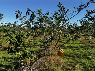 康芮風災後近2個月 農損救助金仍未撥付