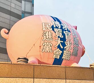 青鳥當打手 民主荒謬劇