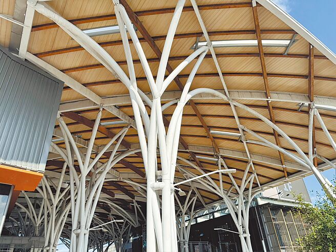 基隆城际转运站顶棚有相当多木制及钢构梁柱，成了鸟类最佳栖息地，民眾行经常担心被从天而降的鸟粪砸中。（徐佑升摄）