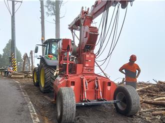 大鹿林道交管延至明年1／29  遊客見路邊枝條勿撿