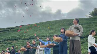 樟湖谢茶祭典结合艺术与农村精神 从环境教育中学感恩