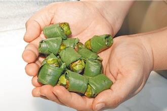 槟榔健康危害防制法草案出炉 未成年人、孕妇禁用