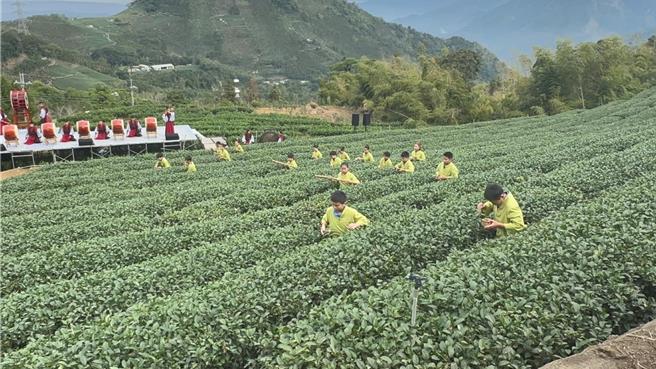 雲林縣古坑鄉樟湖生態國中小學21日舉辦「謝茶祭典」，讓學生走進社區學習感恩，並以藝術的形式凝聚社區力量。（張朝欣攝）