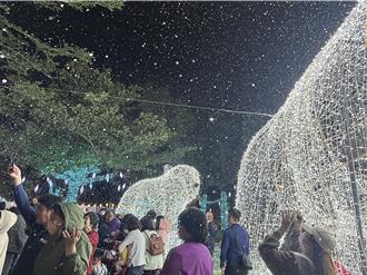 影》台東鐵花新聚落連續9天「下雪」 近千人不畏寒冷搶拍