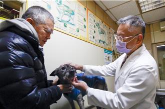 毛孩的專屬「柯P」醫生在竹南 暖心看診32年 飼主讚安心