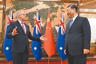 龍蝦可登陸 中澳貿易戰落幕