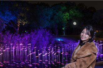 新竹「東興圳光藝節」結合新詩、裝置藝術 打造夢幻夜遊